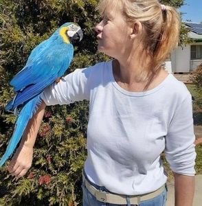 Meet your Posher, Sally